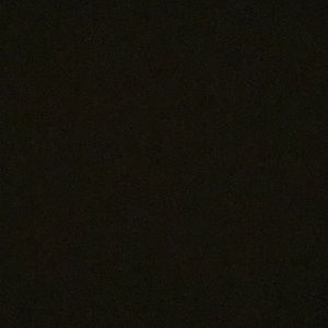 Meet your Posher, Maggie